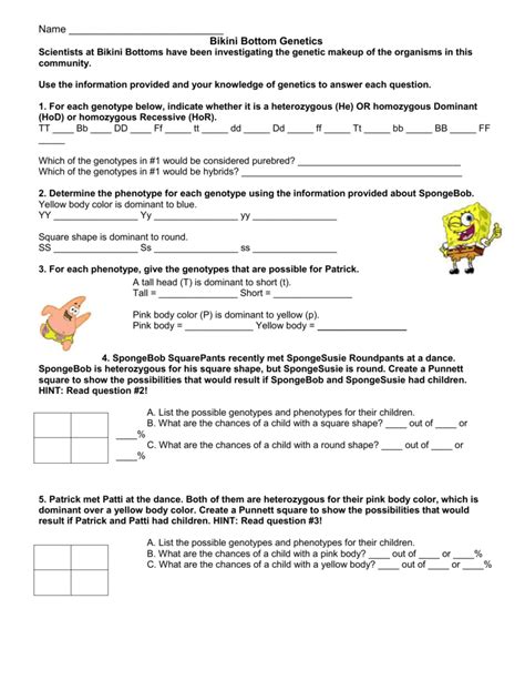spongebob monohybrid cross worksheet answers